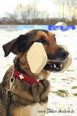 tyson